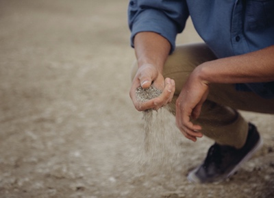 Asesoramiento de jardinería en Madrid